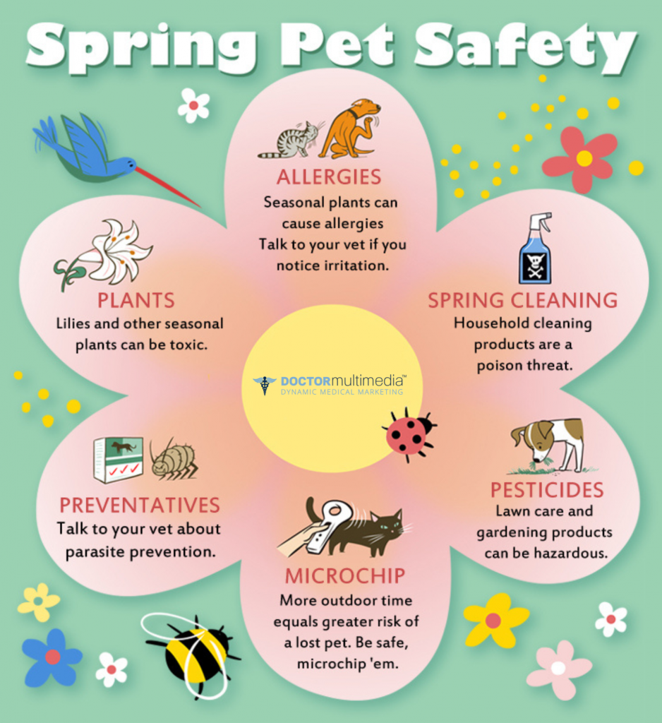 Spring Pet Care Safety Belle Isle Animal Hospital